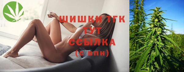 гидропоника Ладушкин