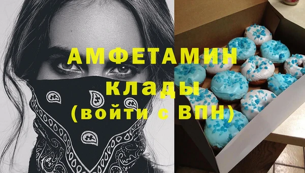 шишки Осташков