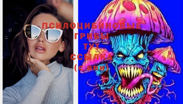 гидропоника Ладушкин
