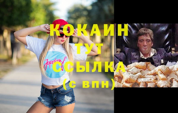 гидропоника Ладушкин