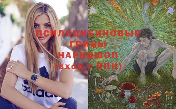 гидропоника Ладушкин