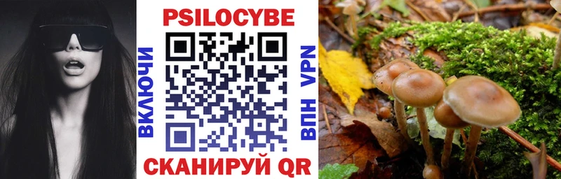 Псилоцибиновые грибы Cubensis  darknet телеграм  Сусуман  hydra ONION 
