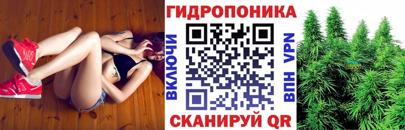 Шишки марихуана Bruce Banner  Сусуман 